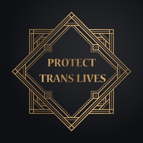 (Image description: the words “Protect Trans Lives” in gold text with a gold border in o