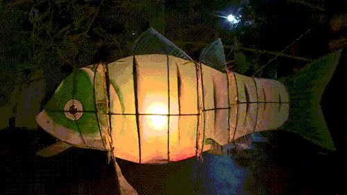 changan-moon:chinese lanterns | fish lanterns from zhejiang province and anhui province