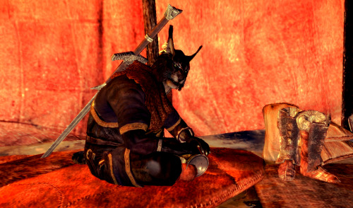 camping with the khajit