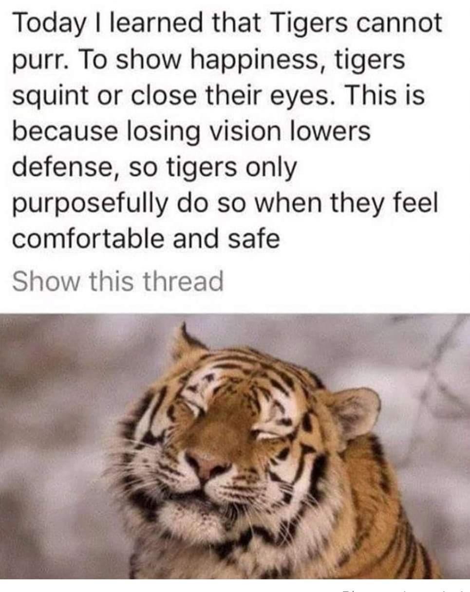 memeuplift: