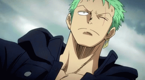 Zoro With A Clingy S/o? Almost Like Luffy That Just Likes To Hang On Him Or Be On Him At All Times