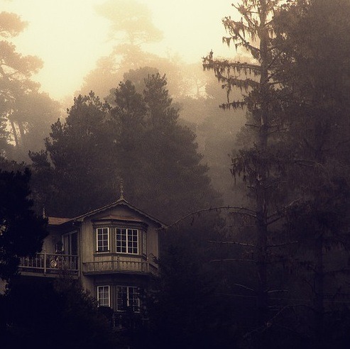 homeintheforest:A cabin in the woods