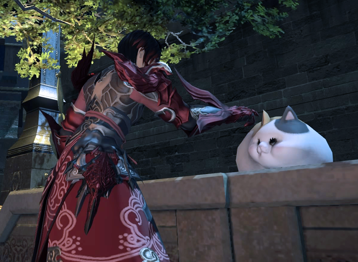 sinuntosea:  #now you know why the fat cat’s on my vermillion team #for sinuntosea