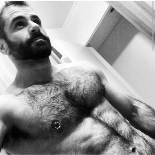 sexybeardbr:  Furry. #BARBADO #hairy #hairychest #piercing #woof #brazilianbeard #SexyBeard @jpr_joao    Like us: facebook.com/festaBARBADO