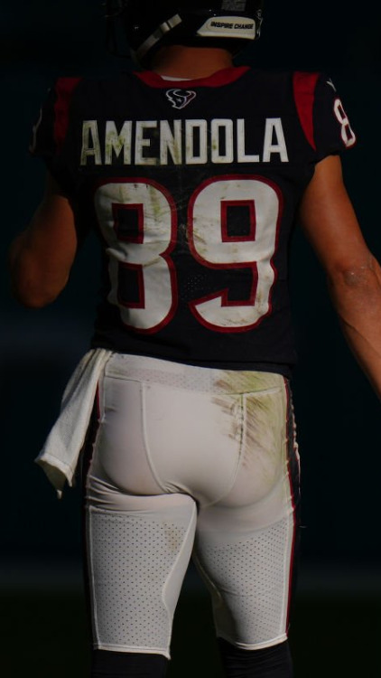 Danny Amendola