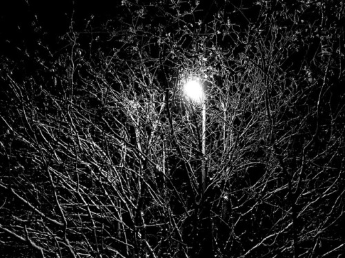 This is just a street lamp behind a tree, but I just thought it was so beautiful and dark. Reminds m