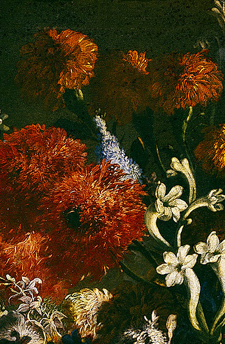 clara–lux: BELVEDERE, Andrea (1652–1732) porn pictures