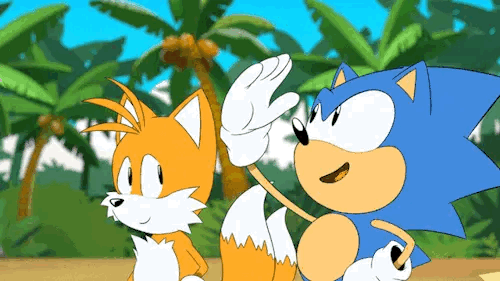 Whenever I See Stuff Abt "we Need More Tails And Sonic Dynamic Where They're SIBLINGS!" And It's Just