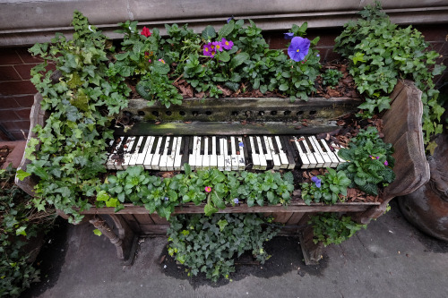 scavengedluxury:scavengedluxury:Piano. Covent Garden, London. February 2016. Happy World Piano Day b