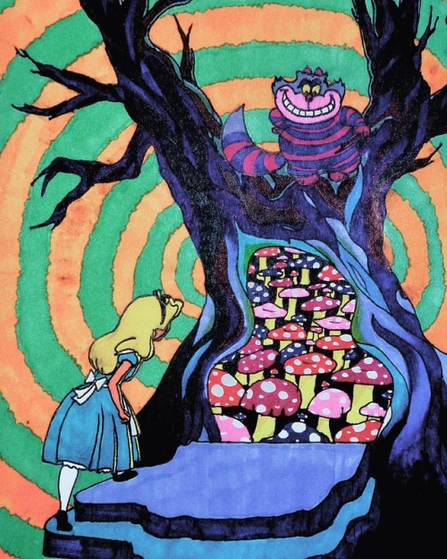 tumblr photo mary-jane-in-wonderland 0