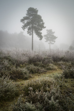 90377:  Greenham Common by Rob Oliver Facebook