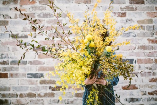 Porn birdasaurus:  Florals by Silvia photos