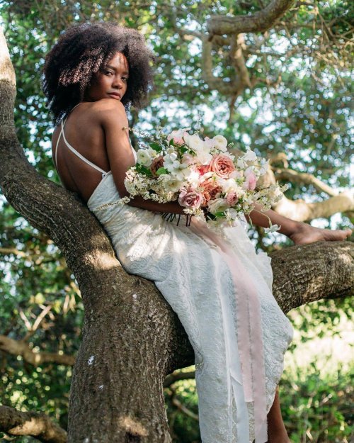 browngyalwriting:  “I am the lover’s gift; I am the wedding wreath;I am the memory of a moment of happiness;” ―  Kahlil Gibran, “Song of the Flower XXIII”Photos credit: Izabelly Santos