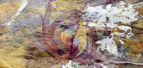 THE EARTH AS CANVASLovely designs on a page of sandstone in the desert. No, not petroglyphs or any d