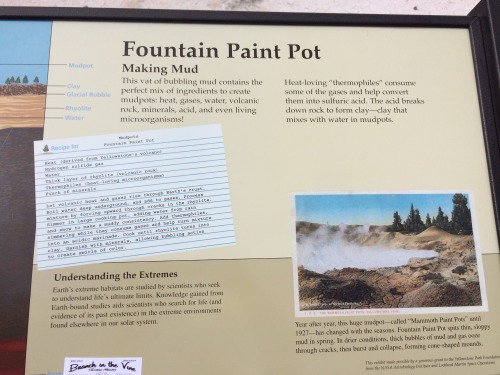 germanican:Fountain Paint Pot, Yellowstone