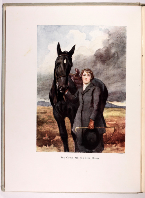 michaelmoonsbookshop:Black Beauty - Anna Sewell First Edition 1915 with illustration by Lucy Ke