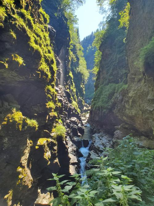 adventuresinfinity:Amazing gorge in Voss, Norway [OC] 4032x3024 | Source: https://reddit.com/r/earth