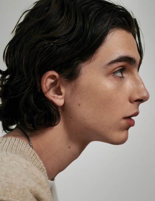 davidnoten:a. Timothée Chalamet by Collier Schorrb. Alexander The Great