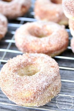 doughnutdoctor:  Buttermilk Donuts with Cinnamon Sugar