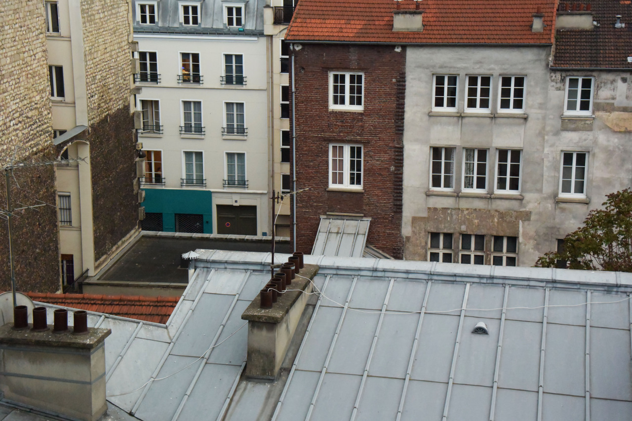 #toits de paris #Paris#roofs#grey#city#walls#windows#france