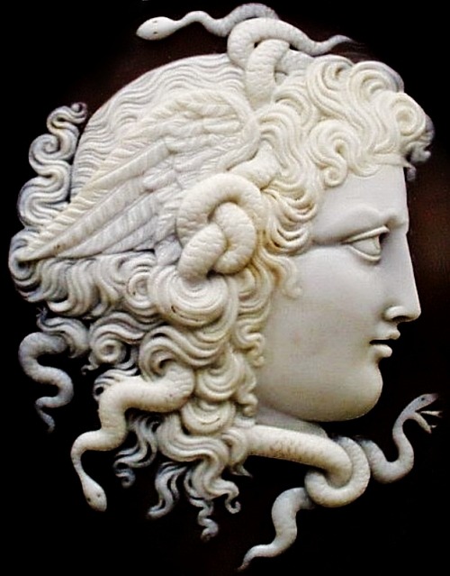 hadrian6: Sardonyx Cameo of the Gorgon Medusa.  1880.hadrian6.tumblr.com