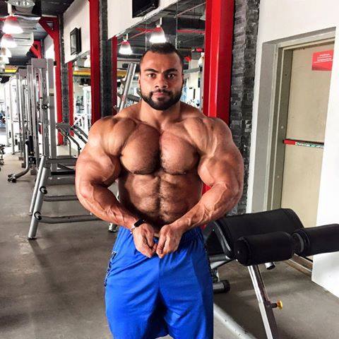 bigmusc:  drwannabe:  Galal Zakaria  Anyone know the gym? Retrofit looks like Cal. 