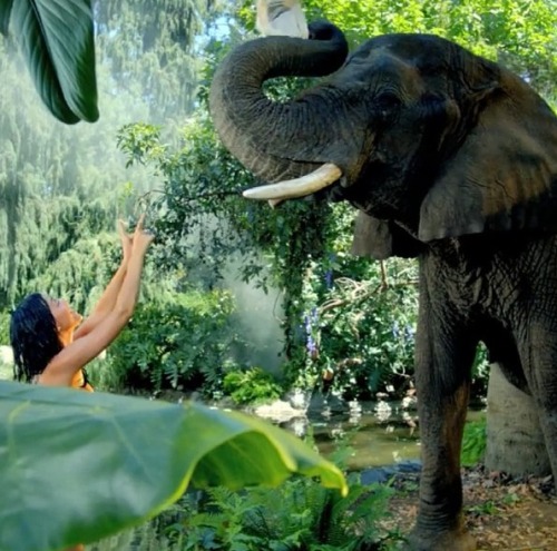 kiwi-elephants: woollyworm:  Sri Lanka 5 by alexi4president  ❀ follow kiwi-elephants for more tropic