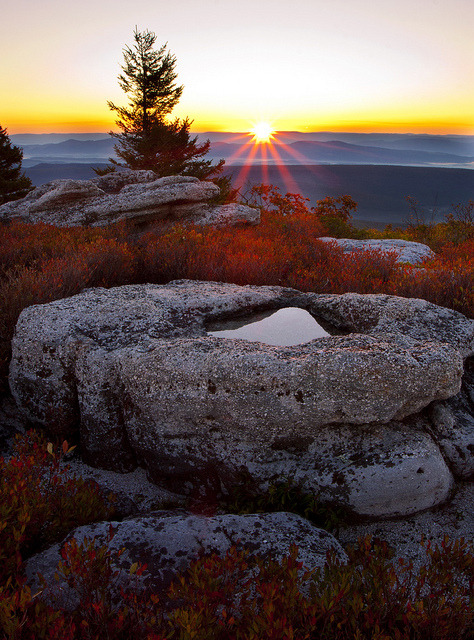 Sunrise at Bear Rocks Preserve in West Virginia, USA (by Brent McGuirt).