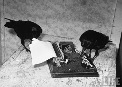 cosmosonic: A raven typing his own name of on the typewriter, 1939