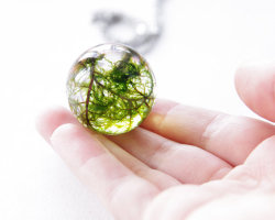 wacky-thoughts:  Real moss globe necklace