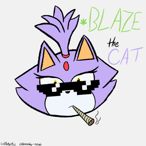 "blaze The Cat Sounds Like An Instruction" Inspired Me