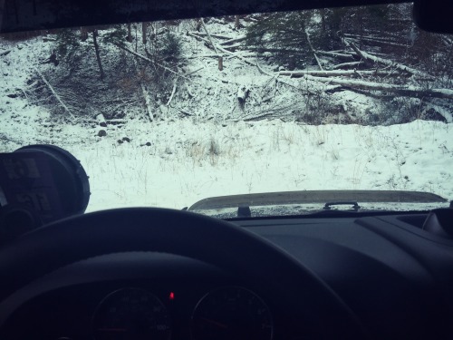 jeepcrazygirl:  Getting my jeep therapy this morning lol 💙
