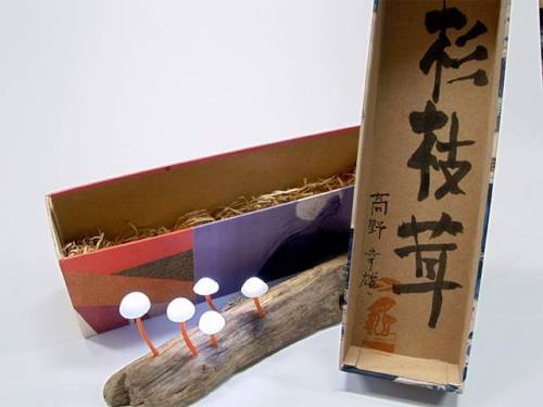 hicockalorum:leslieseuffert: Yukio Takano (Japan) Mushroom Light Lampsi’m never goin