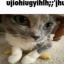 firecatmew122