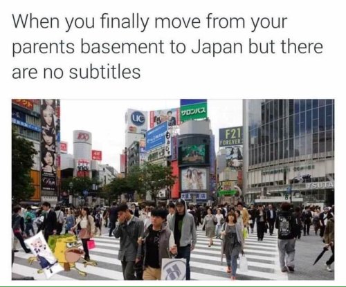 For more funny posts click HERE!