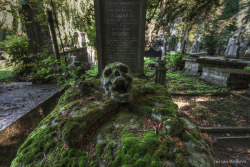 imickeyd:Cemetery of the skull - Iris van