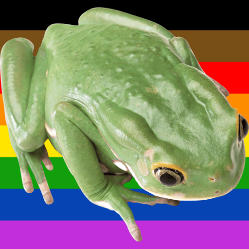 Chemically Altered Gay Frog Stimboard For Anon !