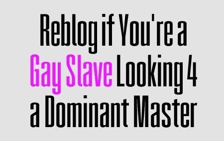 alphademandsservice:alphafxcksfags-deactivated20160:  Looking for a new slave. Re blog this if you t