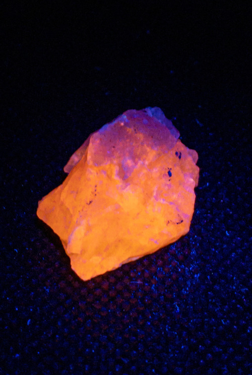 Ussingite with Sodalite var. Hackmanite displaying fluorescenceLocality: Greenland 375nm (Longwave) 