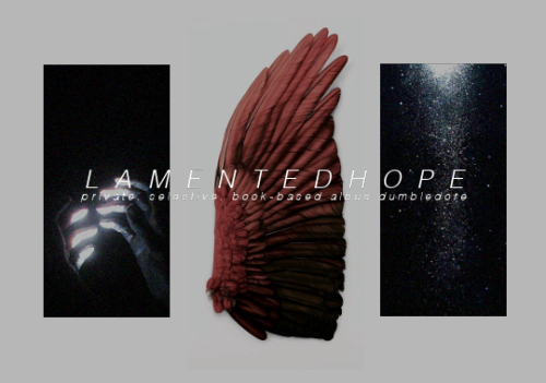 lamentedhope:  harry had known there was no hope from the moment that the full body-bind curse dumbl