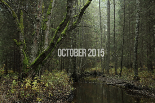 the-actual-universe:  Songs for the earth to fall asleep to. This is, I guess, the first anniversary