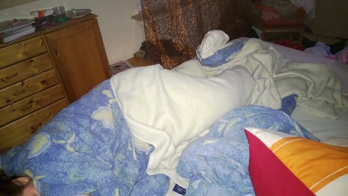 Morning Wood and needs to jerk it off..feels so good to stroke it for some hot women