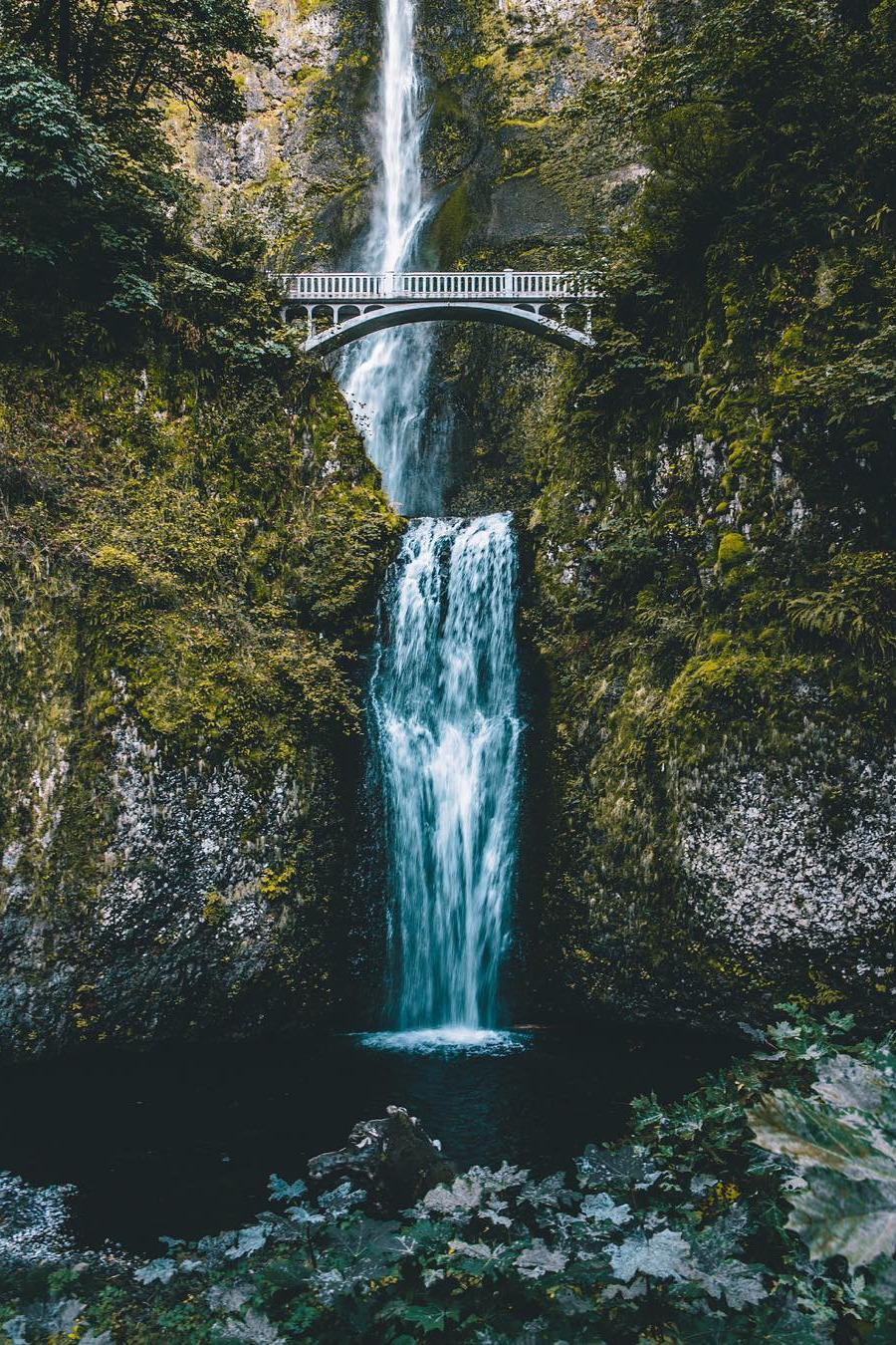 lsleofskye:  Untitled