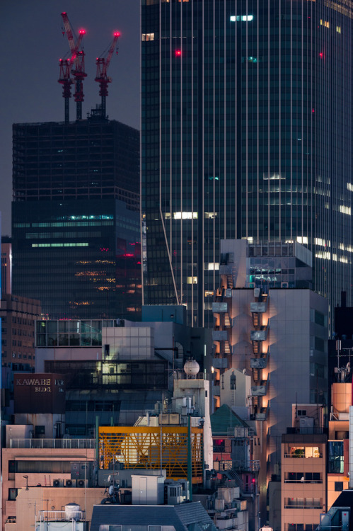 tokyostreetphoto: Behemoth, Shinbashi 新橋