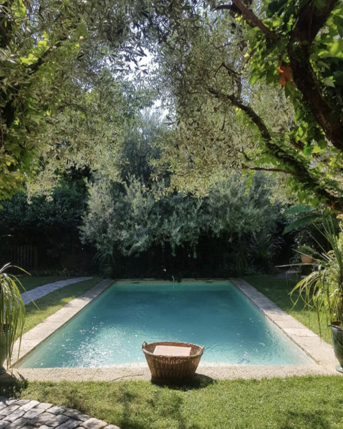 Another pool setting with a natural grass deck, set behind the privacy of large plantings.