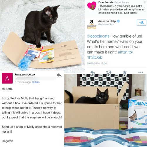 edgebug: worldofthecutestcuties: Amazon ruined our cat’s birthday but look how they made it up