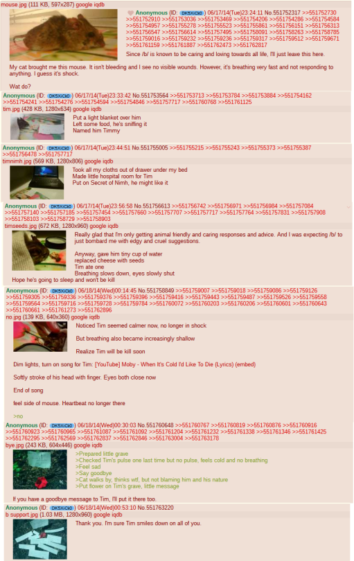 gamergate-news:  adagio-bedazzle:  hoody-spooktacular:  earthbound-is-creepy:  tjsbin:  When 4Chan has better standards and a better community than this website    Off the top of my head 4chan has >taken down a child porn ring>tracked down and