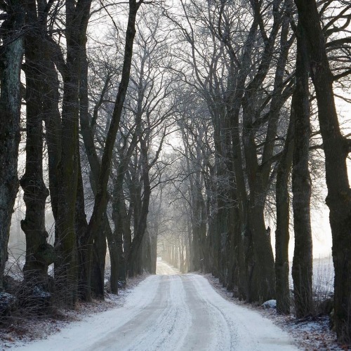 oldfarmhouse: Remember, There’s always light at the end. (via #vakrehjemoginteriør