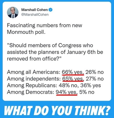 liberalsarecool:Remove all the insurrectionist GOP traitors.
