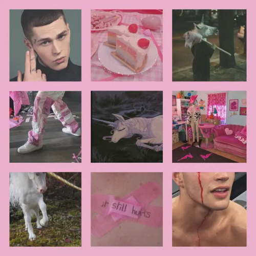 Loves Pink, Eating Cupcakes And Punching Annoying Normies In The Face.